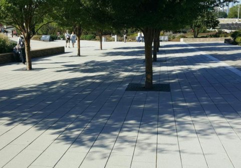 Pentagon Memorial Tree Grates